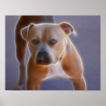 The Stance Print