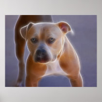 The Stance Print