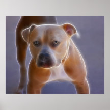 The Stance Print