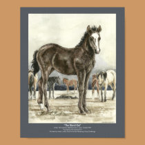 The Stand Out Colt Printed Canvas 8x10 JAZ posters