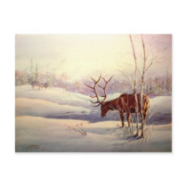 The STANDOFF by SHARON SHARPE postcards