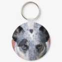 The Stare Down - a cowdog look keychains