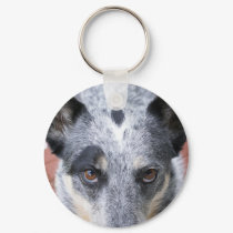 The Stare Down - a cowdog look keychains