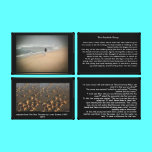 The Starfish Story Canvas canvas prints