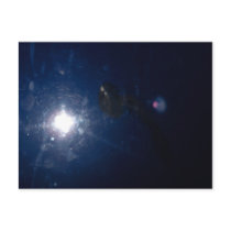 the starry ocean blue postcards by Awesumpunk the starry ocean blue postcards
