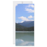 The Stillness rack cards