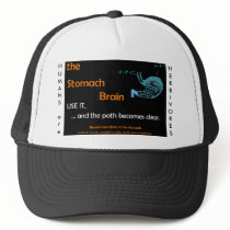 The Stomach Brain Hat by allinharmony The Stomach Brain Hat