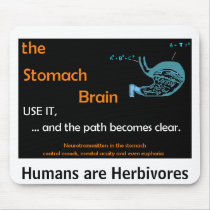 The Stomach Brain Mousepad mousepads