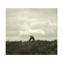 The Storm canvas prints