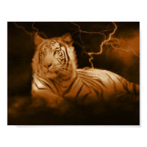 The Storm posters