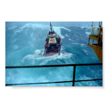 The Storm posters