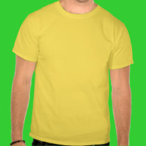 the straight talking john mccain is against gay... t-shirts