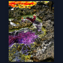 The Strange Pools of Aka Ar t-shirts by iggymak The Strange Pools of Aka Ar t-shirts
