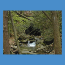 The Stream posters