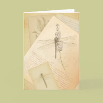 The Study of Dragonflies greeting card