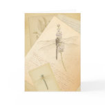 The Study of Dragonflies greeting card