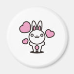 The stuffed toy of the rabbit magnets