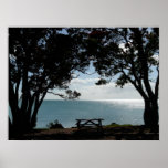 The Summer Picnic Spot Print
