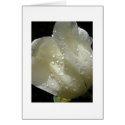 The Sun Comes Out cards by ZeroToTwenty The Sun Comes Out cards