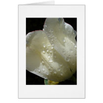The Sun Comes Out cards by ZeroToTwenty The Sun Comes Out cards