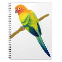 The Sun Conure Parrot Notebook