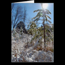 The Sun is Bright cards by ChargePlus The Sun is Bright cards