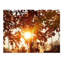 The sun is shining postcards