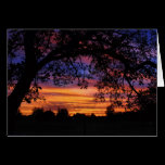 The Sun Sets For Mike - greeting card cards