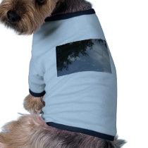 The Sun Shines Through pet clothing by mapetty The Sun Shines Through pet clothing