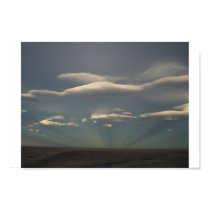 The Sun Shines Through posters