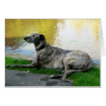 The Sunbather Card