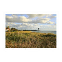 The Sunshine State Poster