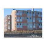 The Surf Club postcards