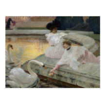 The Swans, 1900 Post Cards
