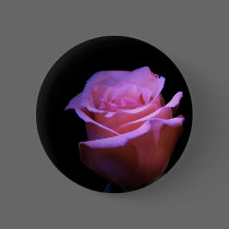 The Sweetest Flower that Blows... buttons
