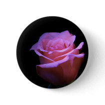The Sweetest Flower that Blows... buttons by beverlytazangel The Sweetest Flower that Blows... buttons