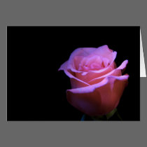 The Sweetest Flower that Blows... cards