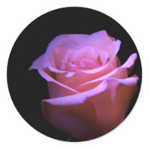 The Sweetest Flower that Blows... stickers by beverlytazangel The Sweetest Flower that Blows... stickers