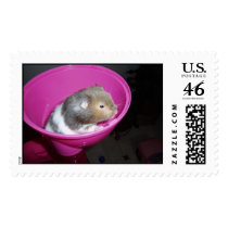 The Sweetest Hamster postage by hamstergirl591 The Sweetest Hamster postage