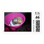 The Sweetest Hamster postage