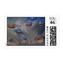 The swimming hole-stamp