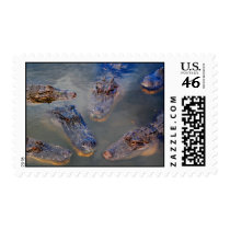 The swimming hole-stamp by PaPaBearBP The swimming hole-stamp