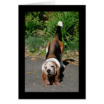 The Tai Chi Master cards