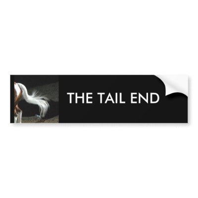 THE TAIL END - bumper sticker by Horseshoes3