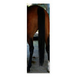The Tail End