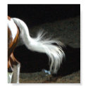 The Tail End - poster / print