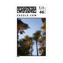 The Tallest Trees postage stamps
