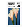 The Tango Postage Stamp