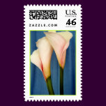 The Tango Stamp