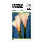 The Tango Stamp